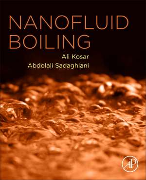 Nanofluid Boiling de Ali Sadaghiani