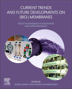 Current Trends and Future Developments on (Bio-) Membranes: Recent Achievements in Wastewater and Water Treatments de Angelo Basile