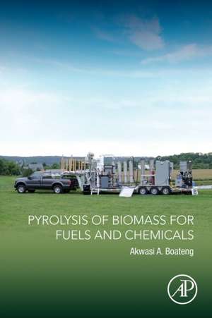 Pyrolysis of Biomass for Fuels and Chemicals de Akwasi A. Boateng