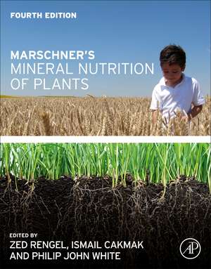 Marschner's Mineral Nutrition of Plants de Zed Rengel