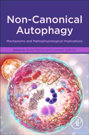 Non-Canonical Autophagy: Mechanisms and Pathophysiological Implications de Giulia Petroni