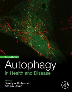 Autophagy in Health and Disease de Beverly Rothermel