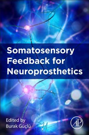 Somatosensory Feedback for Neuroprosthetics de Burak Guclu