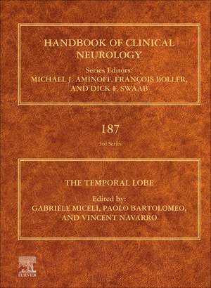 The Temporal Lobe de Gabriele Miceli