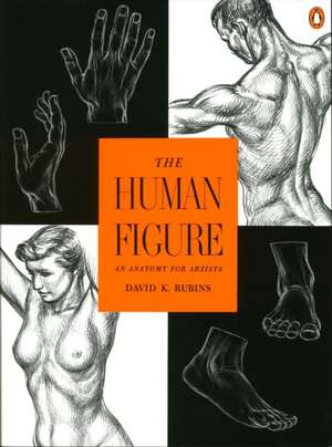 The Human Figure: An Anatomy for Artists de David K. Rubins