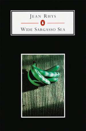 Wide Sargasso Sea de Jean Rhys