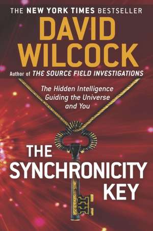 The Synchronicity Key de David Wilcock