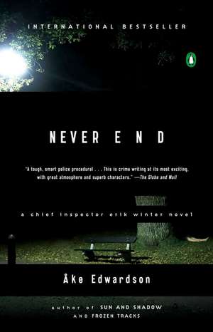 Never End de Ake Edwardson