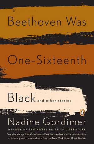 Beethoven Was One-Sixteenth Black de Nadine Gordimer