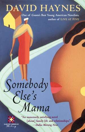 Somebody Else's Mama de David Haynes