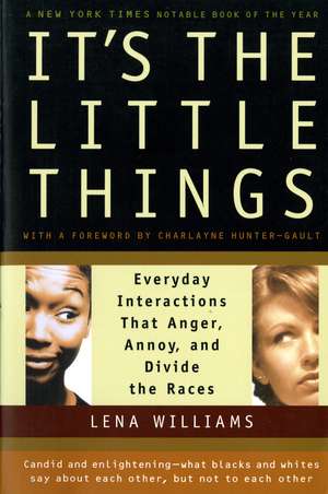 It's The Little Things: Everyday Interactions That Anger, Annoy, and Divide the Races de Lena Williams