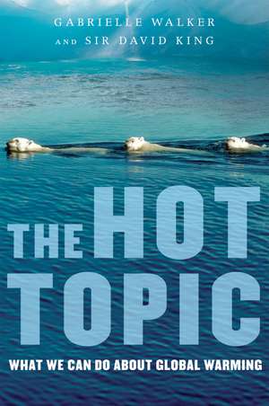 The Hot Topic: What We Can Do About Global Warming de Gabrielle Walker