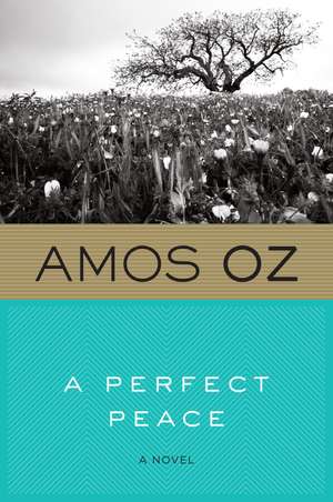 A Perfect Peace de Amos Oz