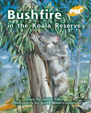 Bushfire at the Koala Reserve PM PLUS Level 22 Gold