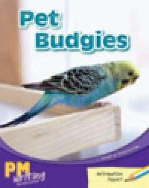 Pet Budgies PM Writing 1 Yellow/Blue 8/9 de Heather Hammonds