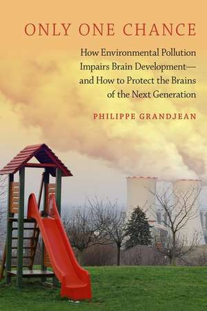 Only One Chance: How Environmental Pollution Impairs Brain Development -- and How to Protect the Brains of the Next Generation de Philippe Grandjean