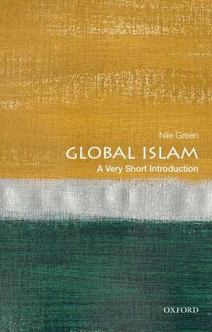 Global Islam: A Very Short Introduction de Nile Green