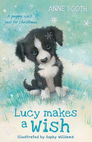 Lucy Makes a Wish de Anne Booth