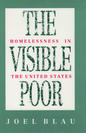 The Visible Poor: Homelessness in the United States de Joel Blau