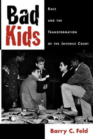 Bad Kids: Race and the Transformation of the Juvenile Court de Barry C. Feld