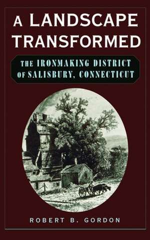 A Landscape Transformed: The Ironmaking District of Salisbury, Connecticut de Robert B. Gordon