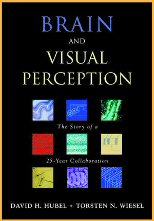 Brain and Visual Perception: The Story of a 25-year Collaboration de David H. Hubel