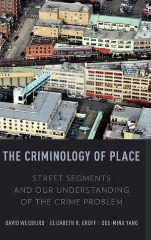 The Criminology of Place: Street Segments and Our Understanding of the Crime Problem de David L. Weisburd