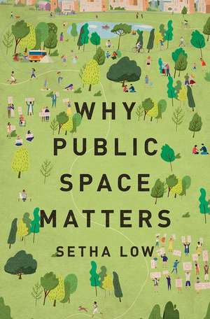 Why Public Space Matters de Setha Low