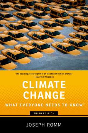 Climate Change: What Everyone Needs to Know de Joseph Romm