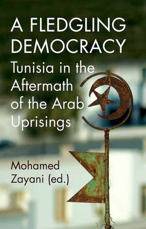 A Fledgling Democracy de Mohamed Zayani