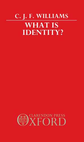 What is Identity? de C. J. F. Williams