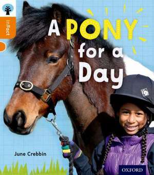 Oxford Reading Tree inFact: Level 6: A Pony for a Day de June Crebbin