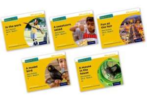 Read Write Inc. Phonics: Yellow Set 5 Non-fiction books (Mixed Pack of 5) de Gill Munton