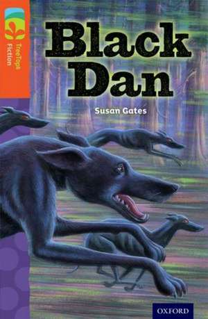 Oxford Reading Tree TreeTops Fiction: Level 13 More Pack A: Black Dan de Susan Gates