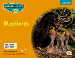 Read Write Inc. Phonics: Non-fiction Set 4 (Orange): Blackbirds - Book 4 de Gill Munton