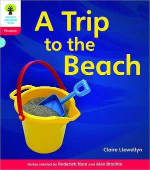 Oxford Reading Tree: Level 4: Floppy's Phonics Non-Fiction: Class Pack of 36 de Clare Llewellyn