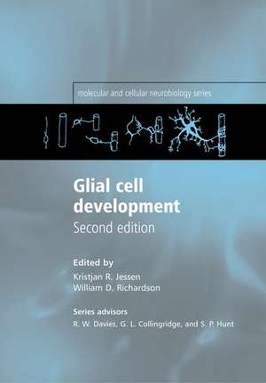 Glial Cell Development: Basic Principles and Clinical Relevance de Kristjan R. Jessen