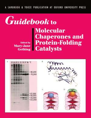 Guidebook to Molecular Chaperones and Protein-Folding Catalysts de Mary-Jane Gething