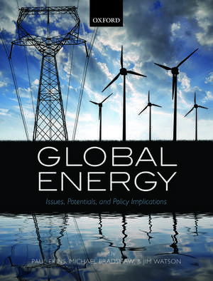 Global Energy: Issues, Potentials, and Policy Implications de Paul Ekins