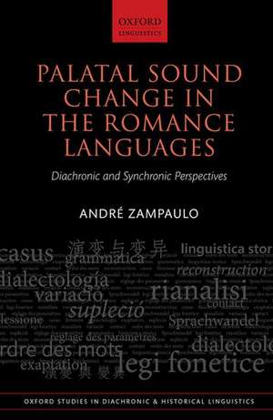 Palatal Sound Change in the Romance Languages: Diachronic and Synchronic Perspectives de André Zampaulo