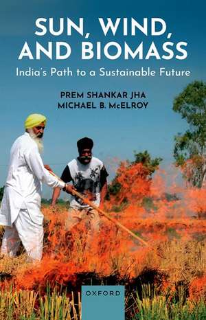 Sun, Wind, and Biomass: India's Path to a Sustainable Future de Prem Shankar Jha