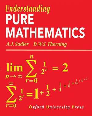 Understanding Pure Mathematics de A. J. Sadler