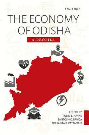 The Economy of Odisha: A Profile de Pulin B. Nayak