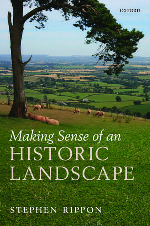 Making Sense of an Historic Landscape de Stephen Rippon