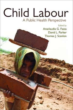 Child Labour: A Public Health Perspective de Anaclaudia Gastal Fassa