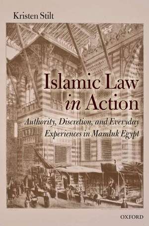 Islamic Law in Action: Authority, Discretion, and Everyday Experiences in Mamluk Egypt de Kristen Stilt