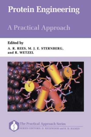 Protein Engineering: A Practical Approach de Anthony R. Rees