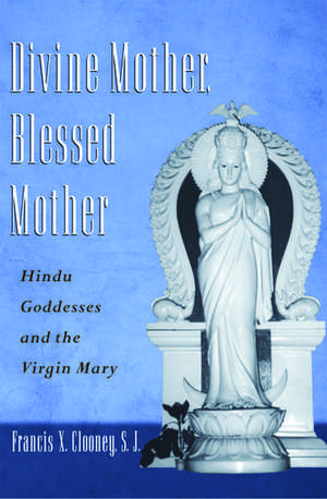 Divine Mother, Blessed Mother: Hindu Goddesses and the Virgin Mary de Francis Clooney