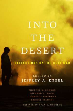 Into the Desert: Reflections on the Gulf War de Jeffrey Engel