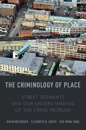 The Criminology of Place: Street Segments and Our Understanding of the Crime Problem de David L. Weisburd